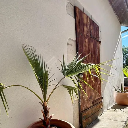 Appartement Five And *