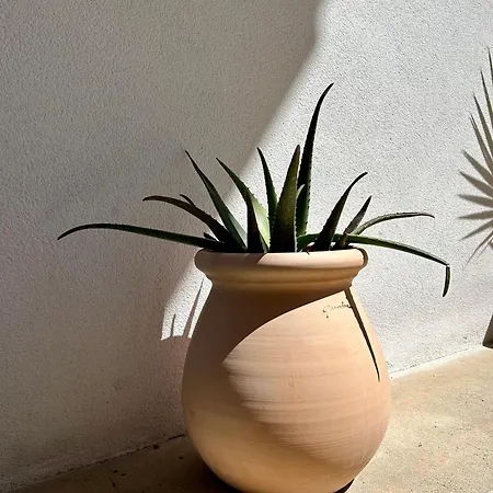 Apartment Five And Josse